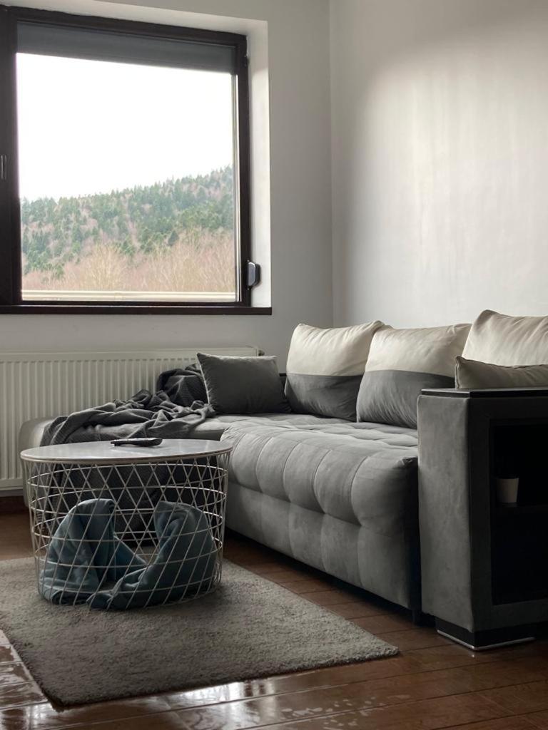 Relax View Ap With Private Parking Apartment Sinaia Exterior photo